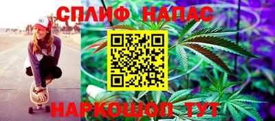 спиды Ливны