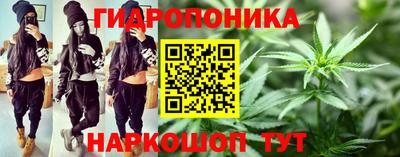 спиды Ливны